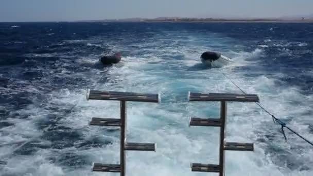 Brincando nas ondas do Mar Vermelho — Vídeo de Stock