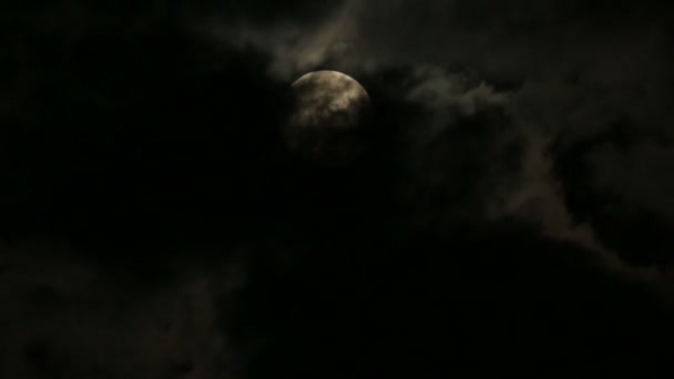Pleine lune — Video