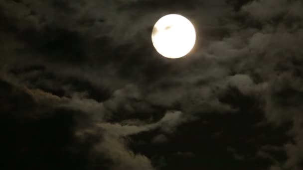 Full moon — Stock Video