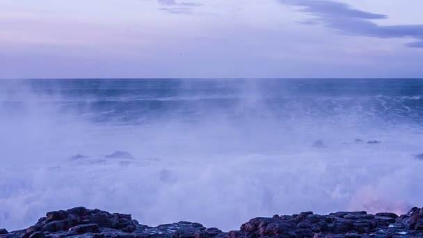 Islande nature — Video