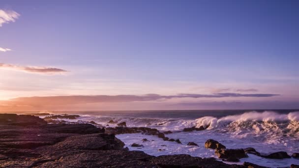 Islande nature — Video