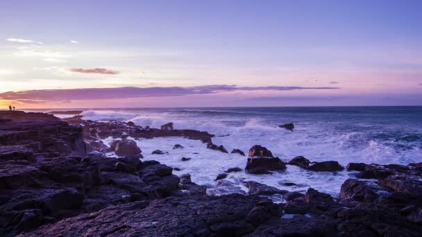 Islande nature — Video