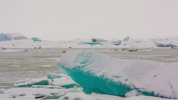 Islandia naturaleza — Vídeo de stock