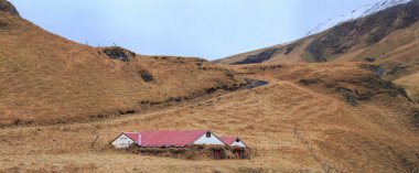 İzlanda doğa
