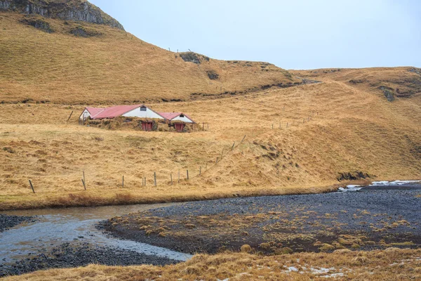 İzlanda doğa — Stok fotoğraf
