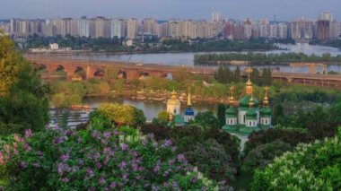 Kiev, çiçekli leylak içinde ulusal Botanik Bahçesi