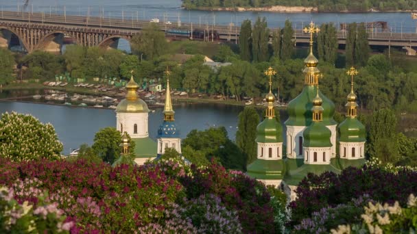 Kyjev, kvetení šeříku v národní botanická zahrada — Stock video