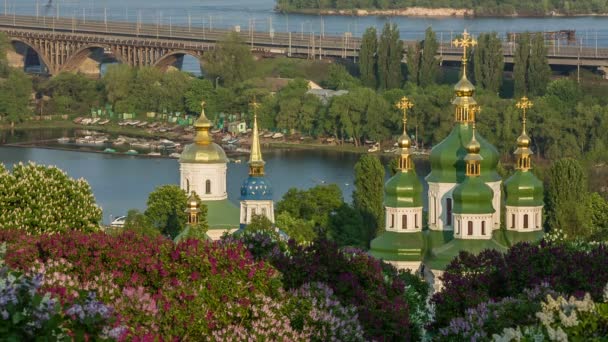 Κίεβο, ανθίζοντας πασχαλιά στην εθνική βοτανικός κήπος — Αρχείο Βίντεο