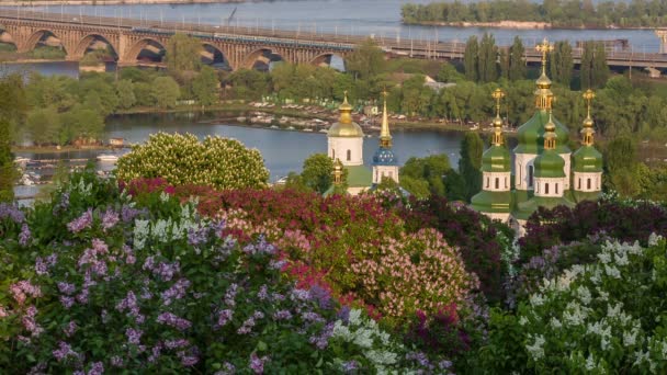 Kiev, çiçekli leylak içinde ulusal Botanik Bahçesi — Stok video