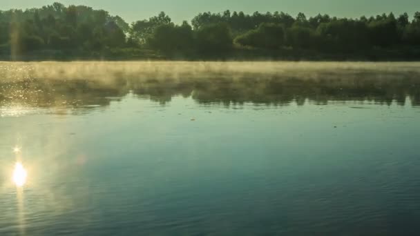 Morning on the river — Stock Video