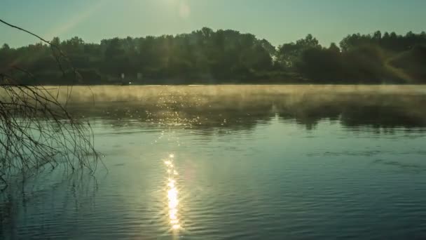 Nehirde bir sabah — Stok video