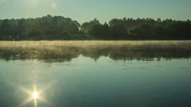 Morgon vid floden — Stockvideo