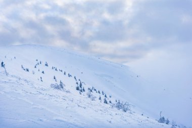 Karpat dağlarında güzel bir kış, Ukrayna