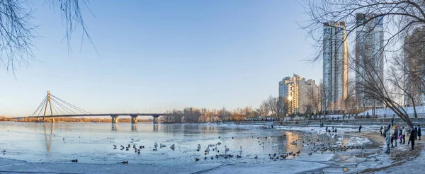 Visitantes Parque Natalka Área Obolon Kiev Alimentam Fotografam Cisnes Patos — Fotografia de Stock