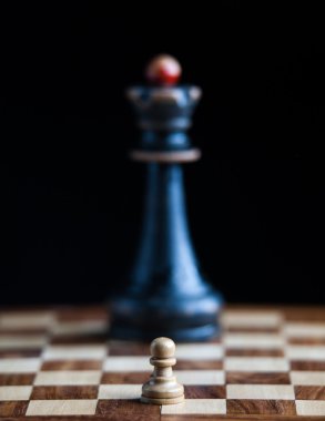 Ahşap Satranç taşları