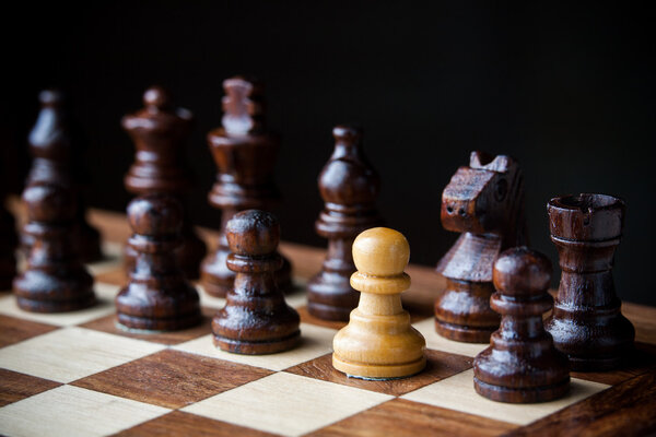 Wooden chess pieces