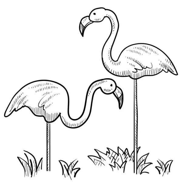 Flamingo-Skizze — Stockvektor