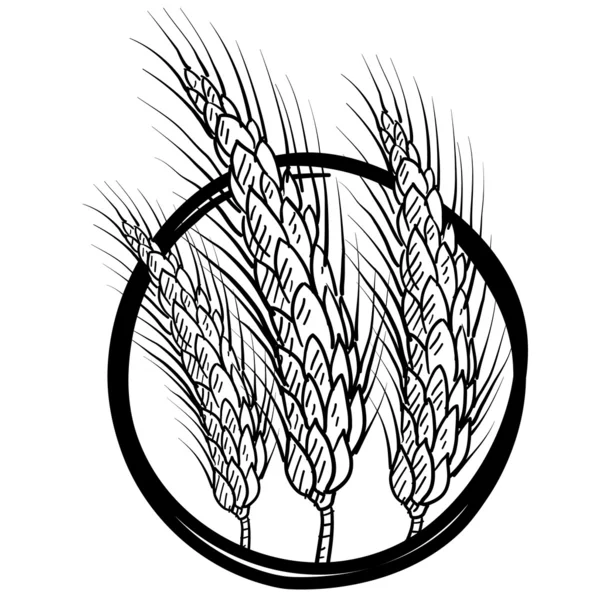 穀物や小麦のベクトル紋章 — ストックベクタ