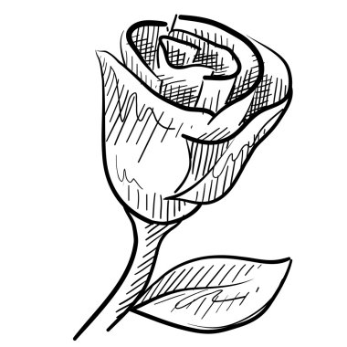 Romantic rose flower sketch clipart