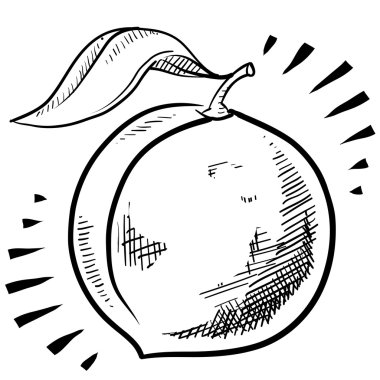 Şeftali meyve kroki