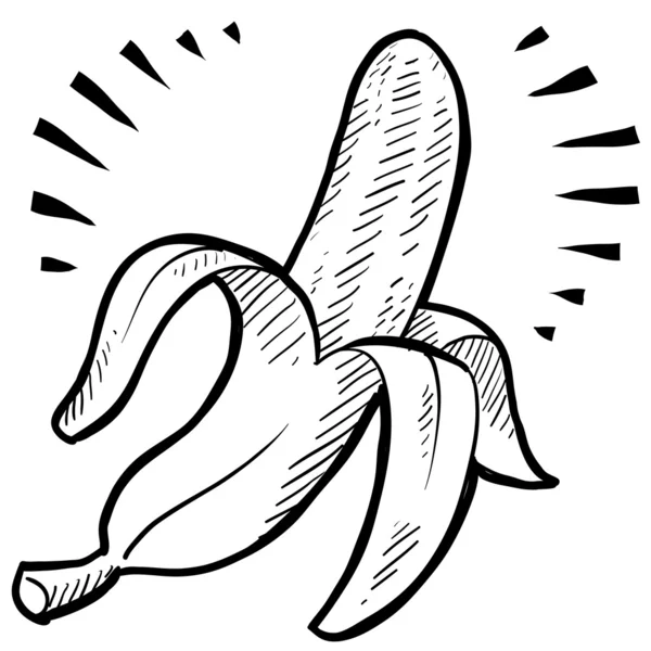 Banana fruit sketch — Stock Vector