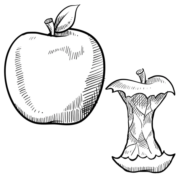 Schizzo del nucleo mela e mela — Vettoriale Stock