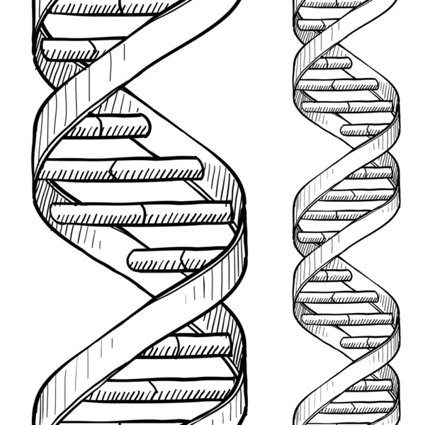 Seamless DNA double helix pattern — Stock Vector