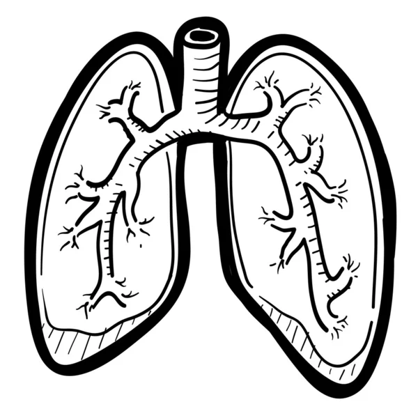 Esboço pulmonar humano — Vetor de Stock