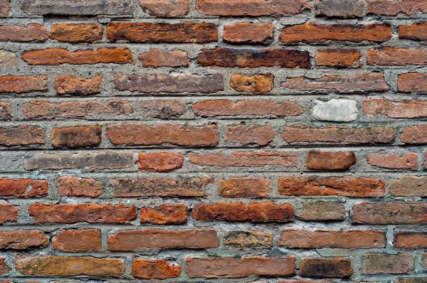 Mattone Wall Texture — Foto Stock