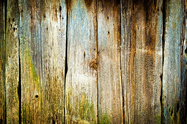 오래 된 나무의 질감 배경 — 스톡 사진