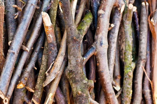 Pile of tree branch, wood stick photo, Stock image