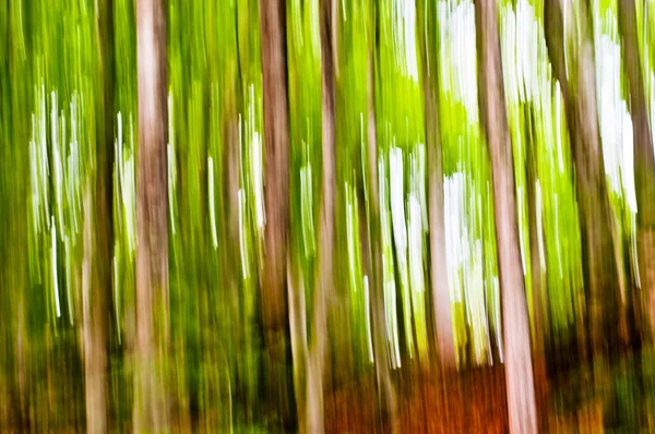 Autumn forest motion blur — Stock Photo, Image