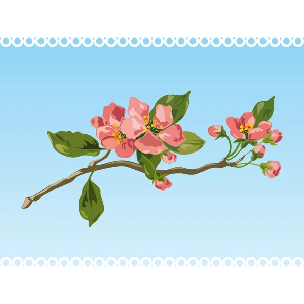Εκλεκτής ποιότητας άνοιξη blossom. διάνυσμα — Διανυσματικό Αρχείο