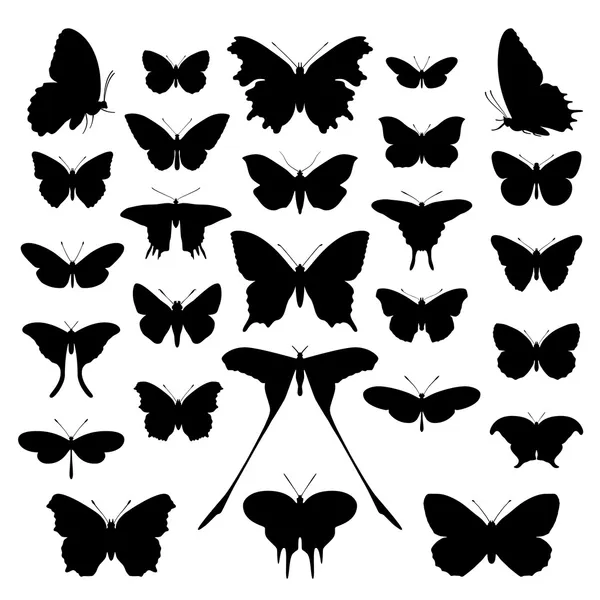 Ensemble silhouette papillons. Vecteur . — Image vectorielle