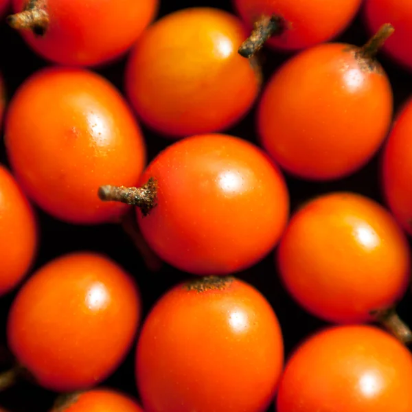 Orange berries background — Stock Photo, Image