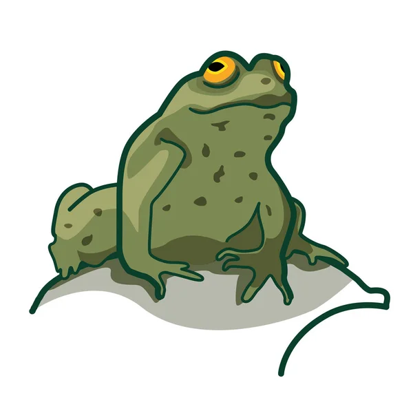 Grüner Frosch Sitzt Auf Stein Logo Sonnt Sich Sonne Illustration — Stockfoto
