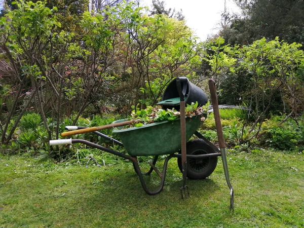 Gardening Work Garden Plot Cart Cut Leaves Plants Background Green — Stock Photo, Image