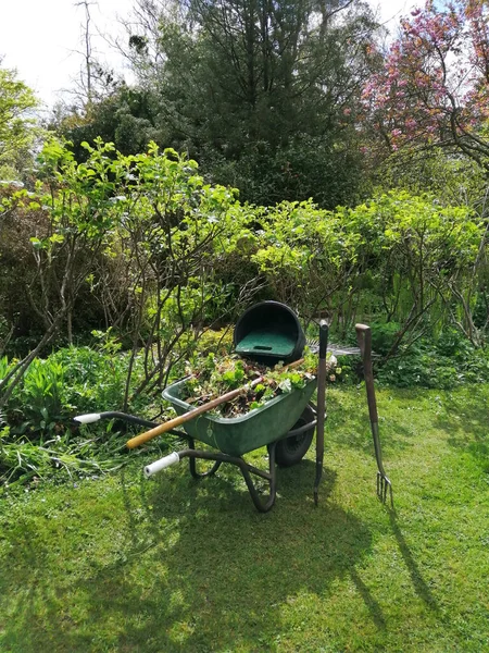 Gardening Work Garden Plot Cart Cut Leaves Plants Background Green — Fotografia de Stock