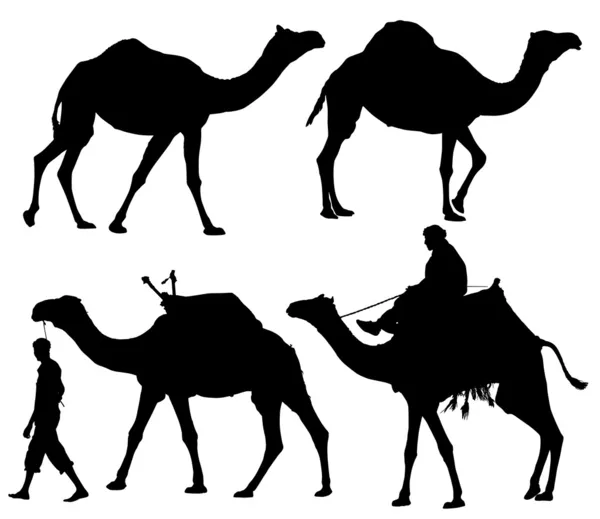 Camel silhouet — Stockvector