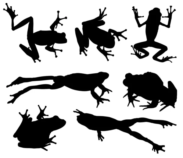 Frog Silhouette — Stock Vector