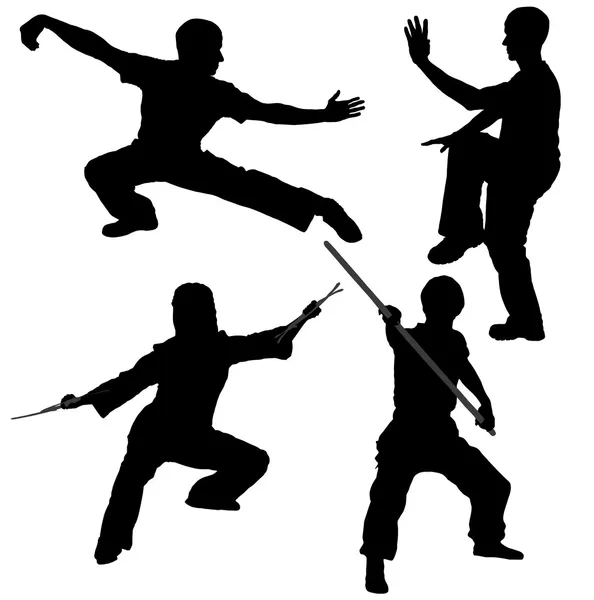 Kung fu fighter silhouet — Stockvector