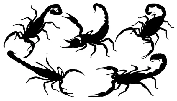 Scorpione Silhouette — Vettoriale Stock