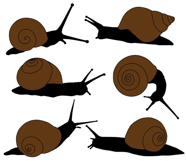 蜗牛剪影 — 图库矢量图片