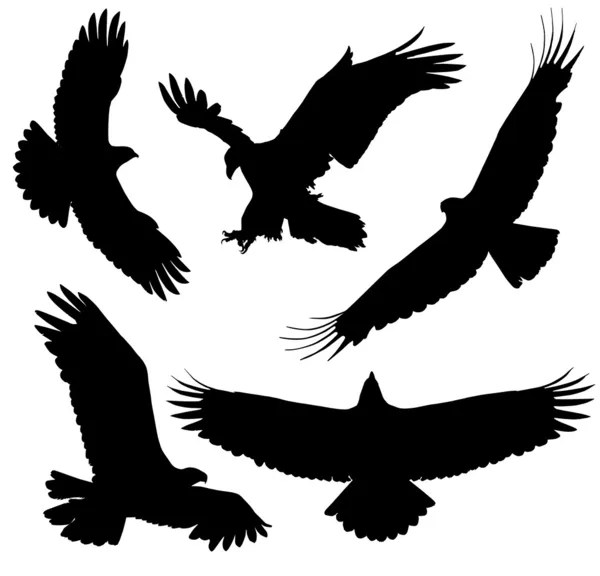 Eagle silhouet — Stockvector