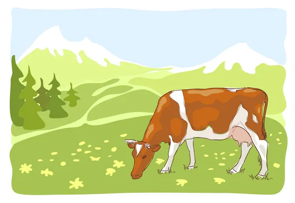 Vita och röda kon betas på alpina ängen. — Stock vektor