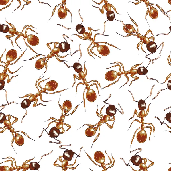 Red ants. Seamless background. — Stock Vector