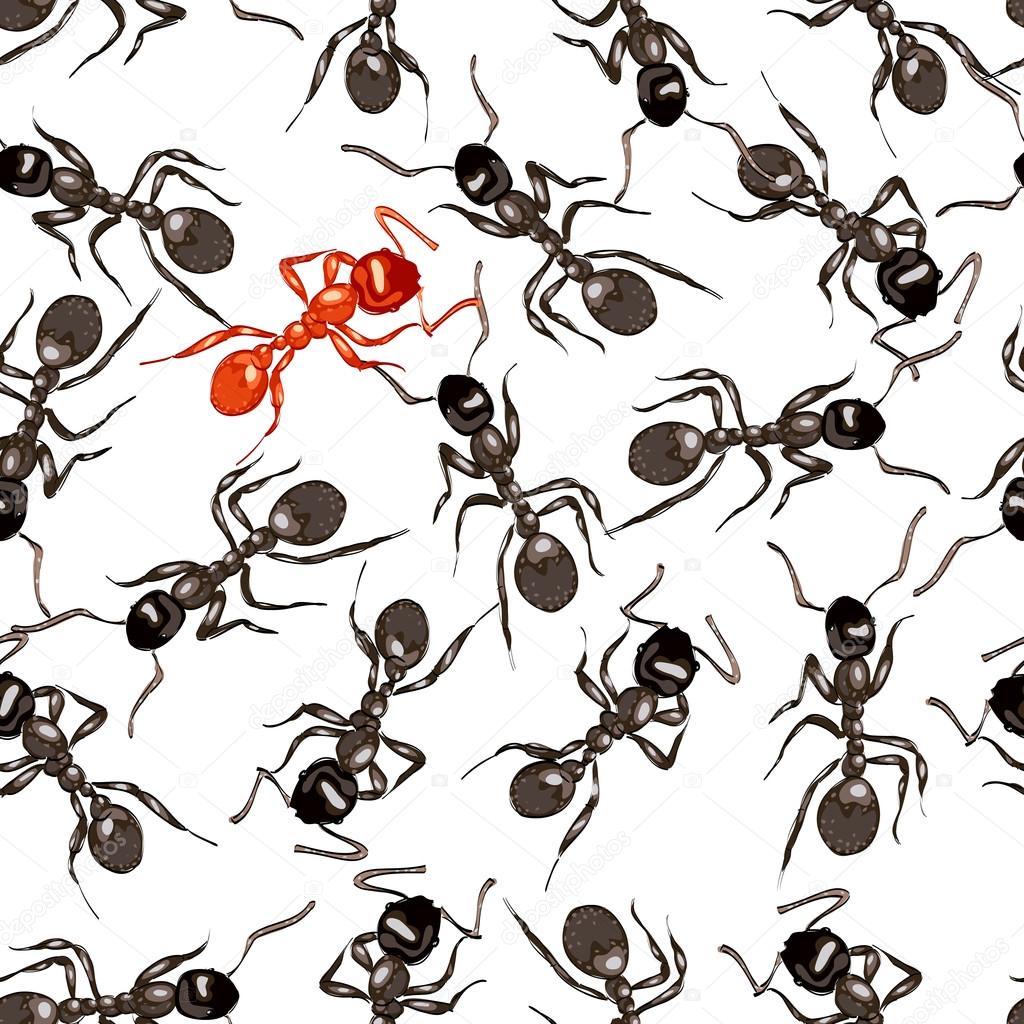 Red ant surrounded by black ants.