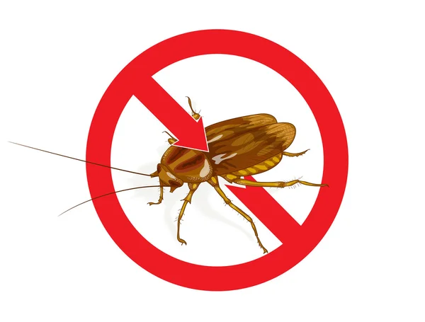 Fermare il segno dello scarafaggio . — Vettoriale Stock