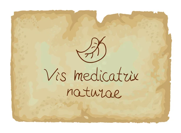 Vis medicatrix naturae - Each person's inner helende macht — Stockvector