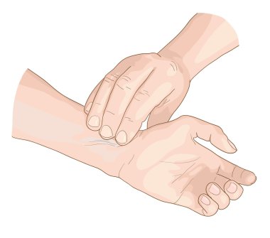 nabız.